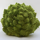 Image for article titled Incredible Photographs of Fractals Found in the Natural World